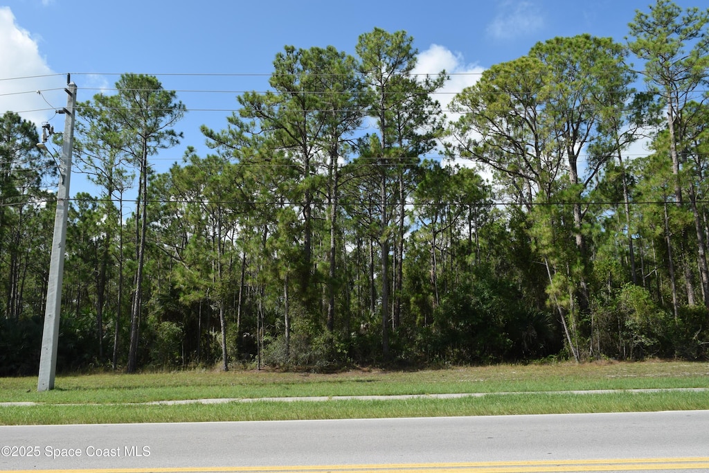206 Emerson Dr NW, Palm Bay, FL 32907 - photo 1