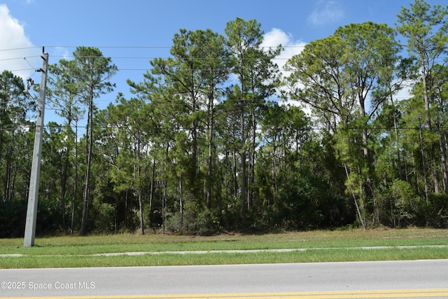 206 Emerson Dr NW, Palm Bay, FL 32907 - photo 1