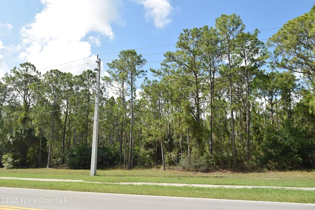 206 Emerson Dr NW, Palm Bay, FL 32907 - photo 3