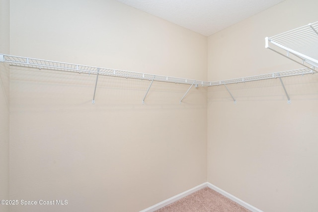 2097 Attilburgh Blvd, Melbourne, FL 32904 - spacious closet with light carpet