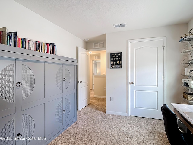 3008 Meleto Blvd, New Smyrna Beach, FL 32168 - photo 22