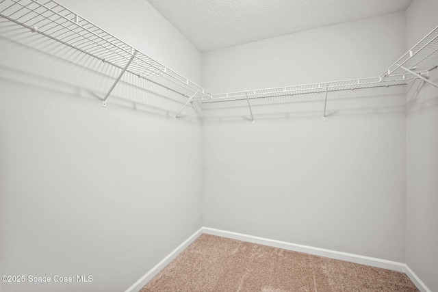 817 Carnival Rd SE, Palm Bay, FL 32909 - photo 24
