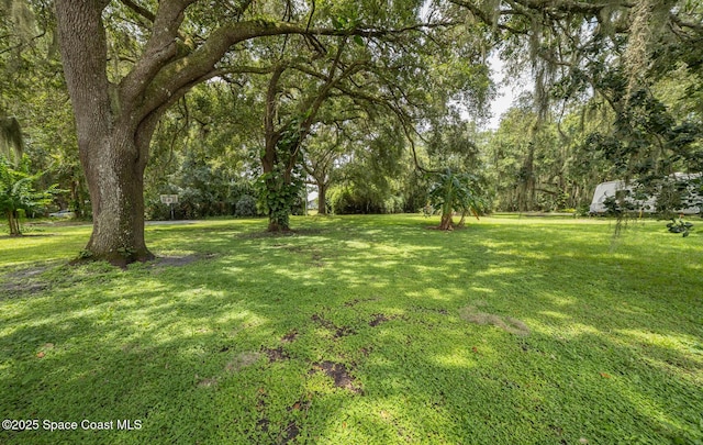 3566 S Park Ave, Titusville, FL 32780 - photo 50