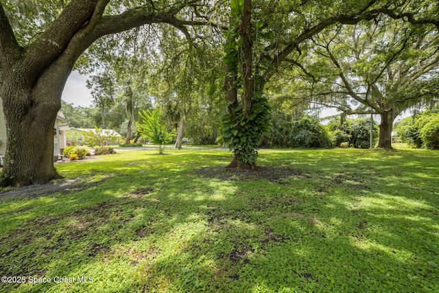 3566 S Park Ave, Titusville, FL 32780 - photo 51