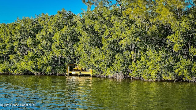 5701 Sea Lavender Pl, Melbourne Beach, FL 32951 - photo 28