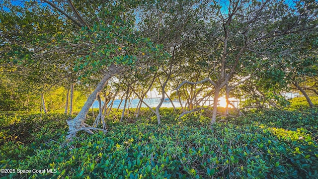 5701 Sea Lavender Pl, Melbourne Beach, FL 32951 - photo 36