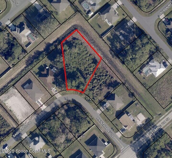 1805 Raintree Ave SE, Palm Bay, FL 32909 - photo 1