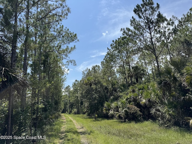 4300 Justa Rd, Mims, FL 32754 - photo 28