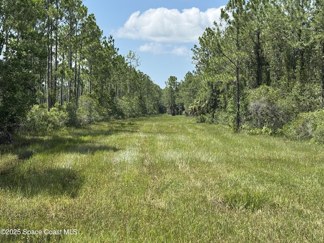 4300 Justa Rd, Mims, FL 32754 - photo 5