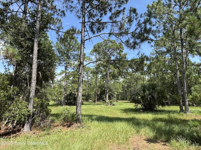 4300 Justa Rd, Mims, FL 32754 - photo 31