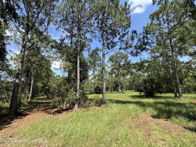 4300 Justa Rd, Mims, FL 32754 - photo 32