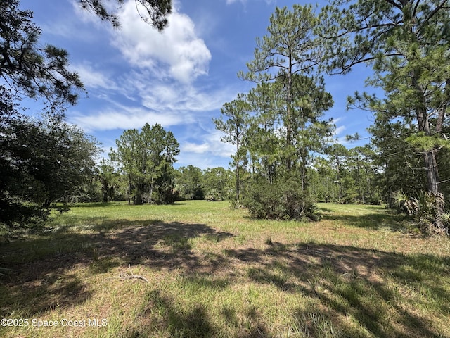 4300 Justa Rd, Mims, FL 32754 - photo 33