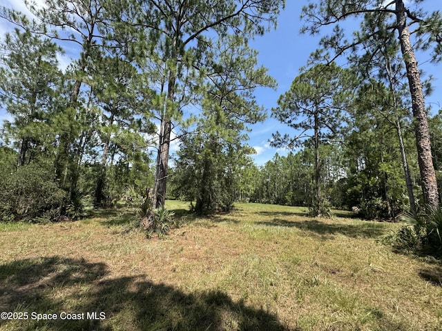 4300 Justa Rd, Mims, FL 32754 - photo 34