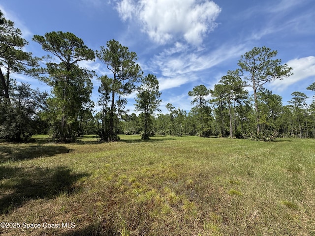 4300 Justa Rd, Mims, FL 32754 - photo 35
