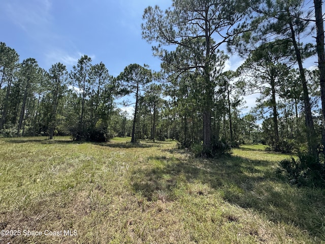 4300 Justa Rd, Mims, FL 32754 - photo 36