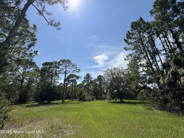 4300 Justa Rd, Mims, FL 32754 - photo 6