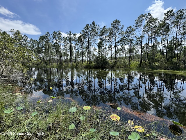 4300 Justa Rd, Mims, FL 32754 - photo 39