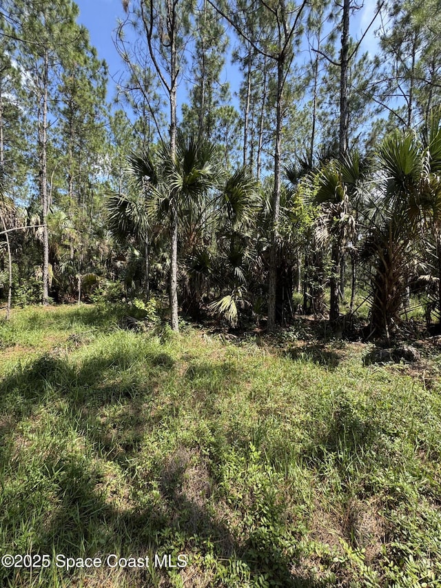 4300 Justa Rd, Mims, FL 32754 - photo 37
