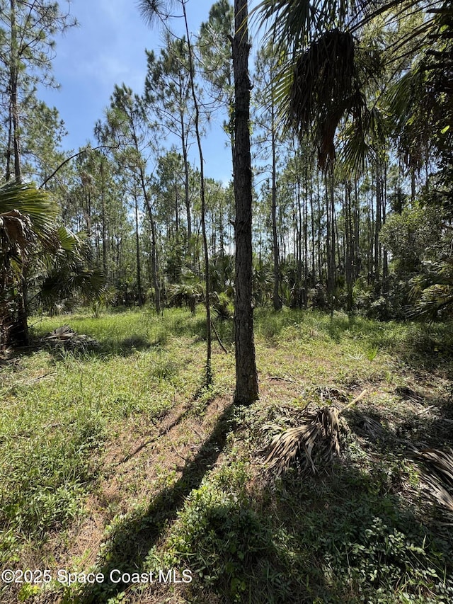 4300 Justa Rd, Mims, FL 32754 - photo 38