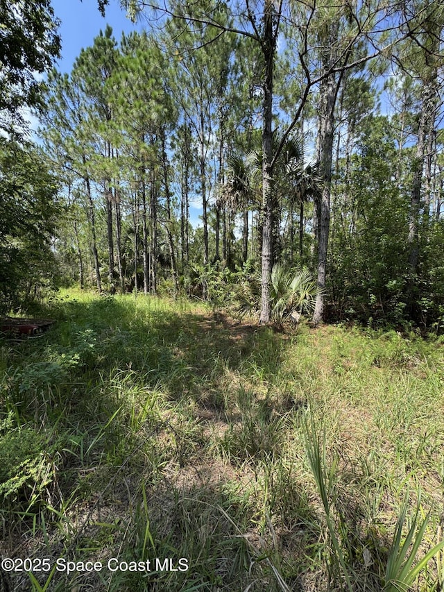 4300 Justa Rd, Mims, FL 32754 - photo 41
