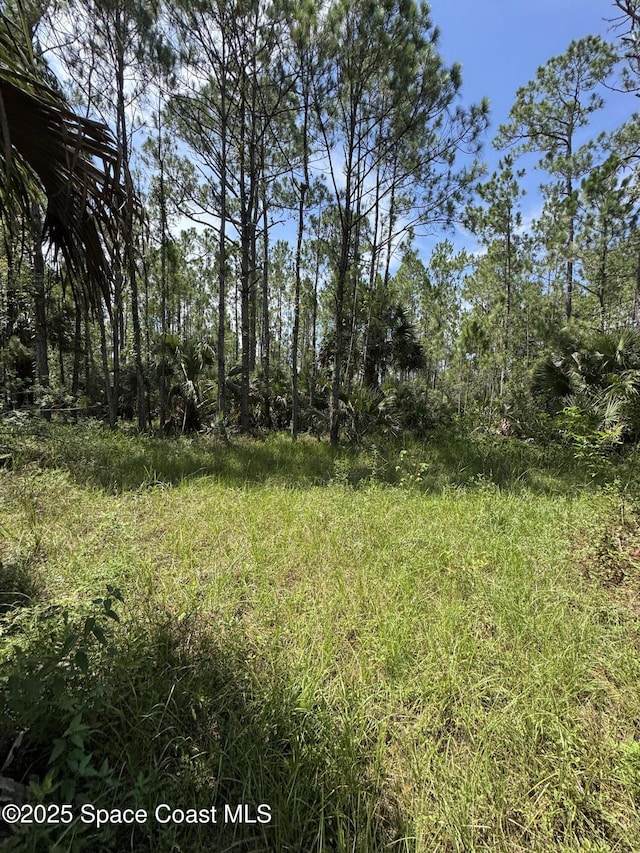 4300 Justa Rd, Mims, FL 32754 - photo 42