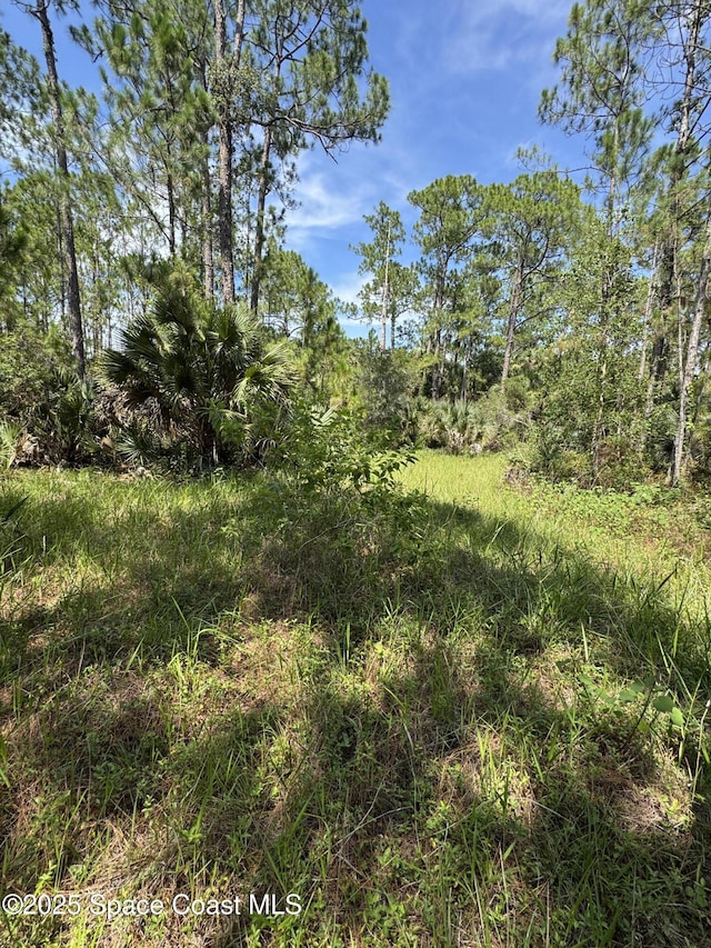 4300 Justa Rd, Mims, FL 32754 - photo 43