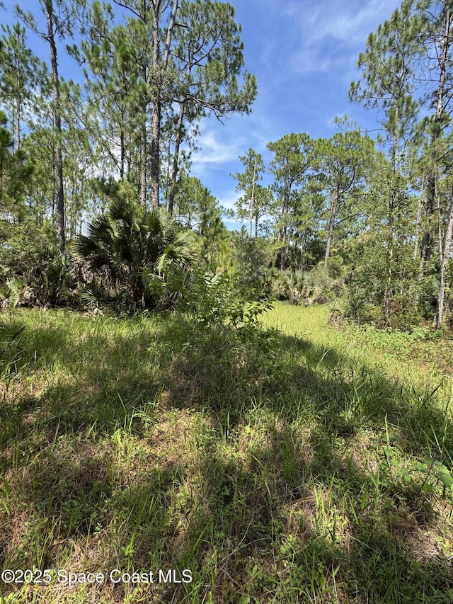 4300 Justa Rd, Mims, FL 32754 - photo 44