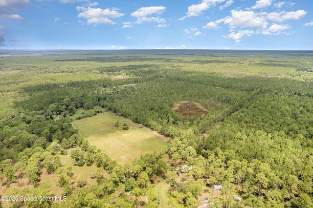 4300 Justa Rd, Mims, FL 32754 - photo 46