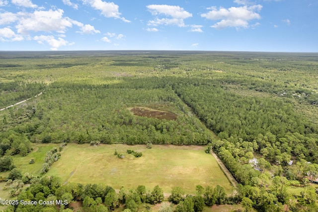4300 Justa Rd, Mims, FL 32754 - photo 47