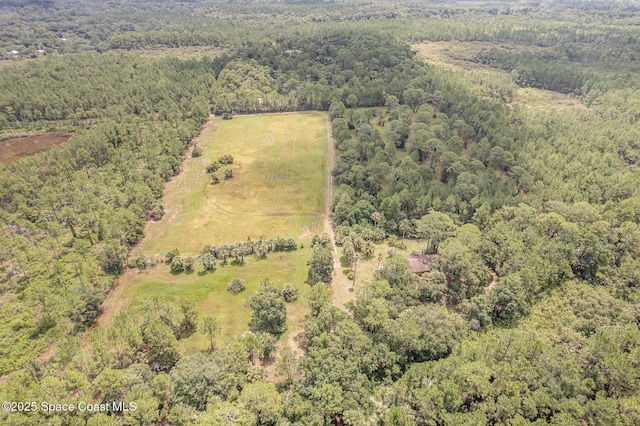 4300 Justa Rd, Mims, FL 32754 - photo 50