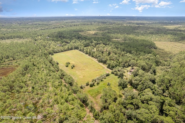 4300 Justa Rd, Mims, FL 32754 - photo 51