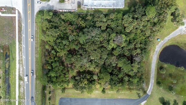 6795 Babcock St SE, Malabar, FL 32950 - photo 5