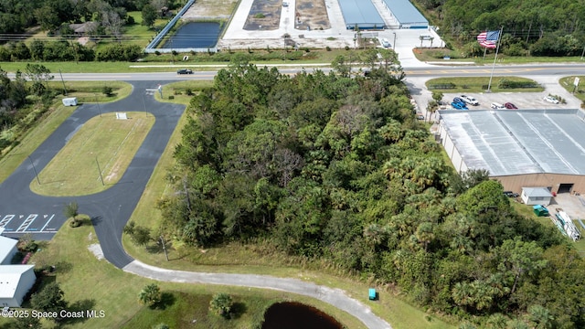 6795 Babcock St SE, Malabar, FL 32950 - photo 11