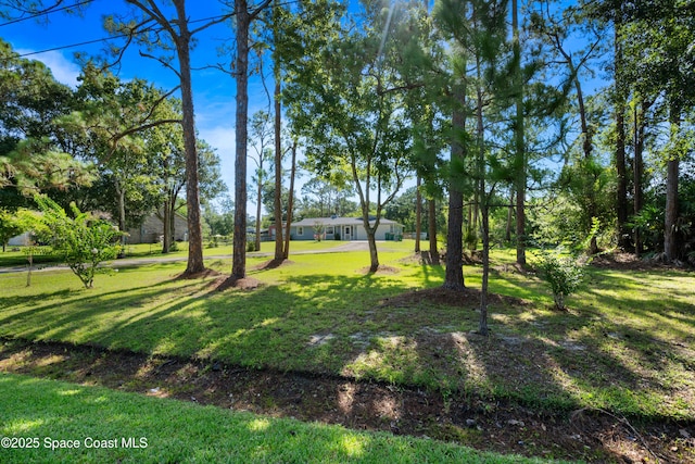 2981 Michigan St, Melbourne, FL 32904 - photo 5
