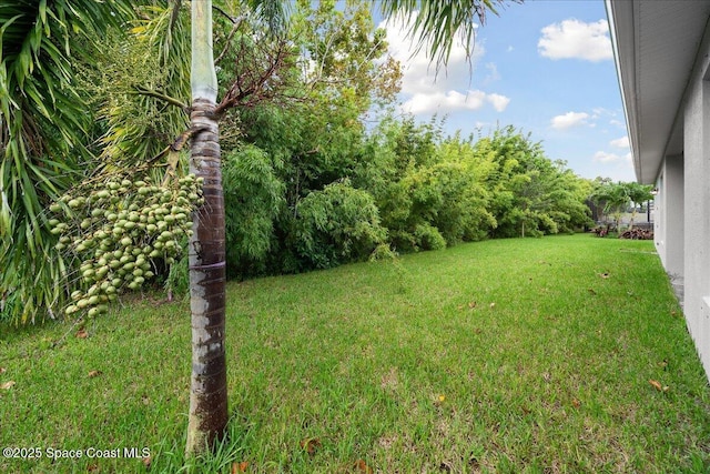 4365 Negal Cir, Melbourne, FL 32901 - photo 34