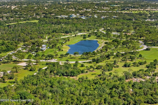 4172 Hammock Dr, Melbourne, FL 32935 - photo 46