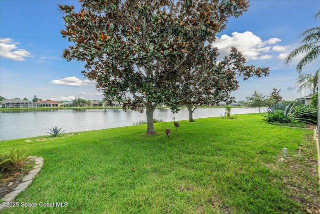 827 Thrasher Dr, Rockledge, FL 32955 - photo 34
