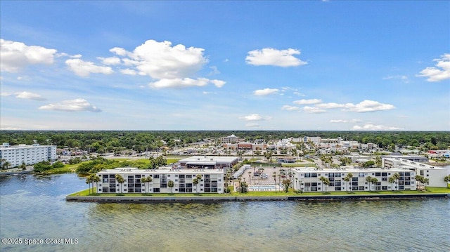 2469 S Washington Ave Unit C 307, Titusville, FL 32780 - photo 32