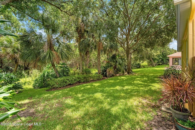 1632 Sun Gazer Dr, Rockledge, FL 32955 - photo 43