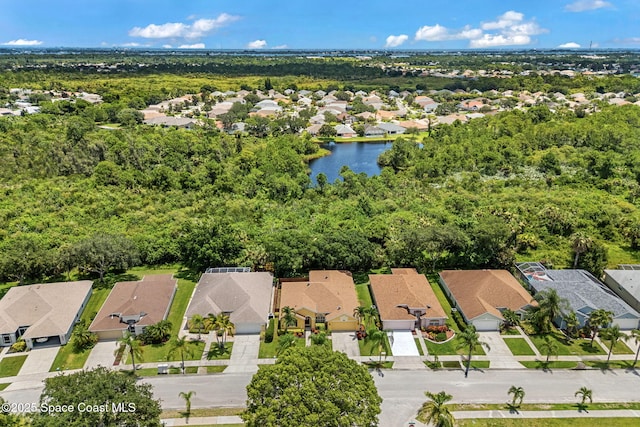 1632 Sun Gazer Dr, Rockledge, FL 32955 - photo 52