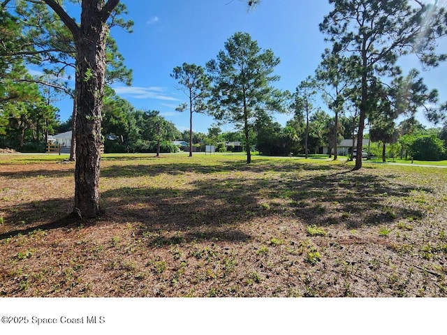 3625 Wisteria Ln, Micco, FL 32976 - photo 5