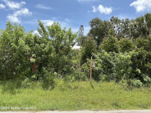 1385 Ashford Ave NE, Palm Bay, FL 32907 - photo 1