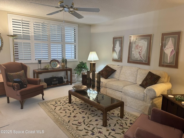 1810 Sevilla Blvd Unit 310, Atlantic Beach, FL 32233 - photo 31