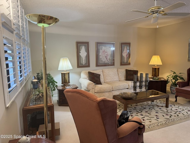 1810 Sevilla Blvd Unit 310, Atlantic Beach, FL 32233 - photo 1