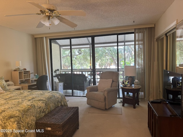 1810 Sevilla Blvd Unit 310, Atlantic Beach, FL 32233 - photo 13