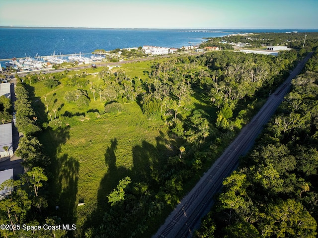 4710 S Washington Ave, Titusville, FL 32780 - photo 4