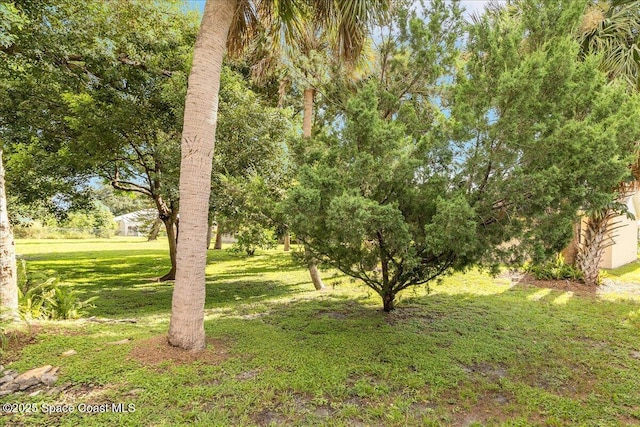 7230 Barbara Rd, Cocoa, FL 32927 - photo 23