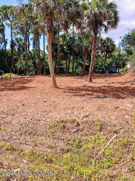 2670 Fourth Ave, Palm Bay, FL 32905 - photo 2