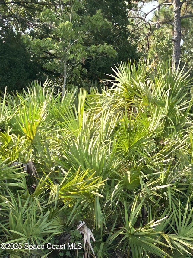 0000 Dolphin Dr, Orlando, FL 32822 - photo 3