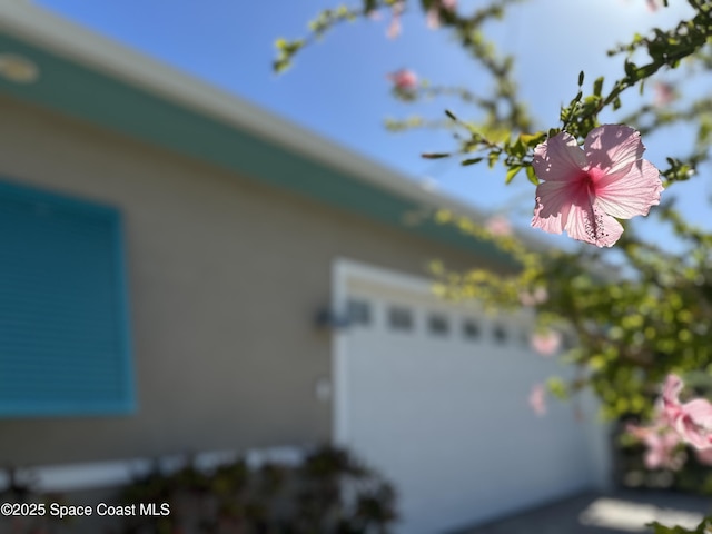 14 Cottage Ct, Cocoa Beach, FL 32931 - photo 11